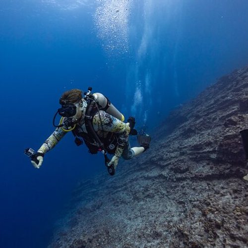 2-Tank Dive Featuring the Molokini Crater 2026 | Cool Hawaii