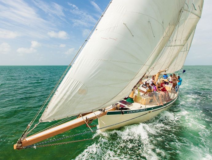 Key West Backcountry Safari Image 5