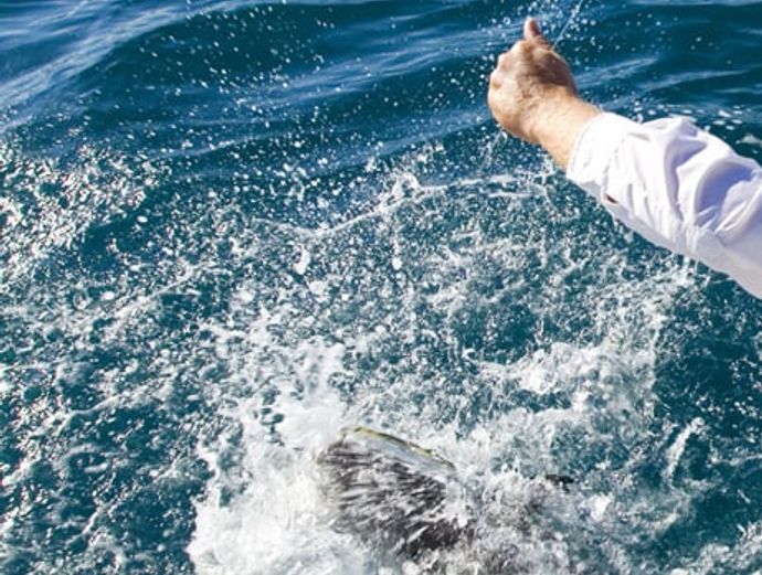 Key West Light Tackle Fishing Charter Image 5