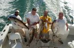 Key West Split Fishing Charter Image 2