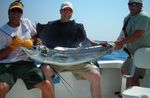 Key West Split Fishing Charter Image 3