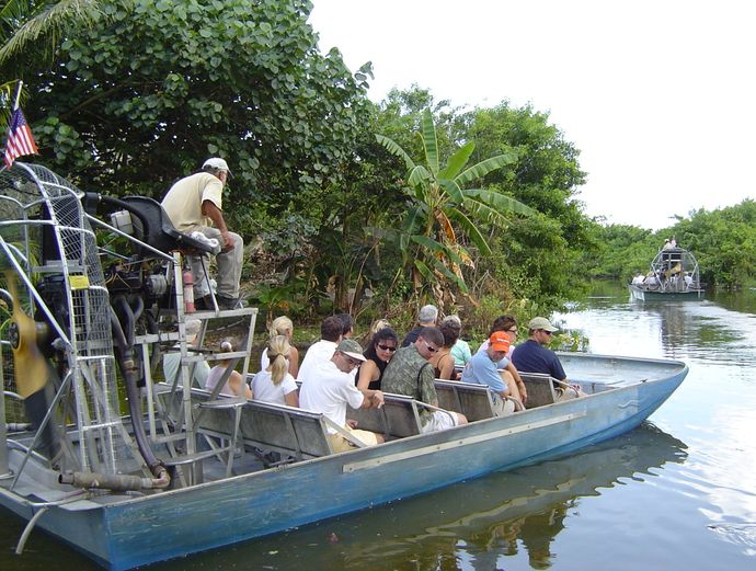 Miami Everglades Airboat Adventure with Transport Image 1