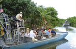Miami Everglades Airboat Adventure with Transport Image 1