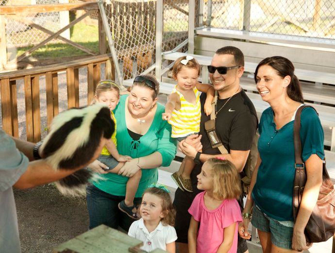Miami Everglades Airboat Tour Image 3