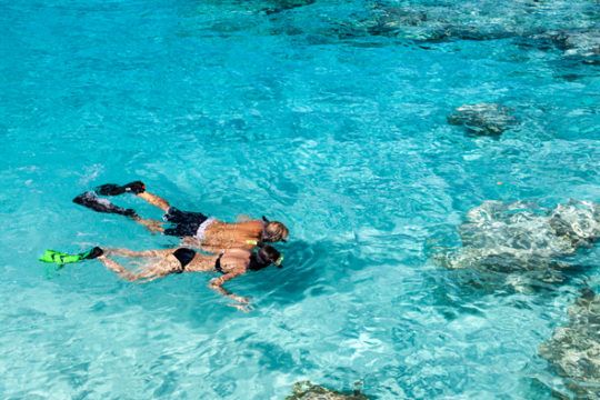 Miami to Key West Day Trip with Snorkeling