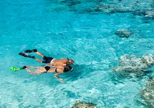 Miami to Key West Day Trip with Snorkeling