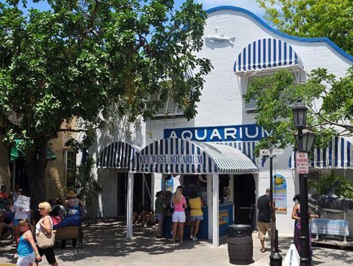 Key West 2-Seater Scooter Rental  Image 5