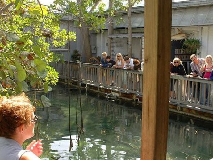 Key West Aquarium Image 4