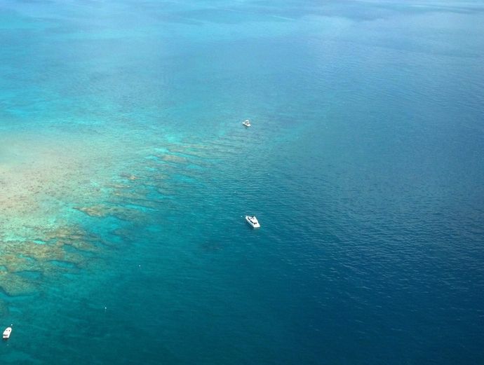 Key West Island & Reef Biplane Tour Image 5