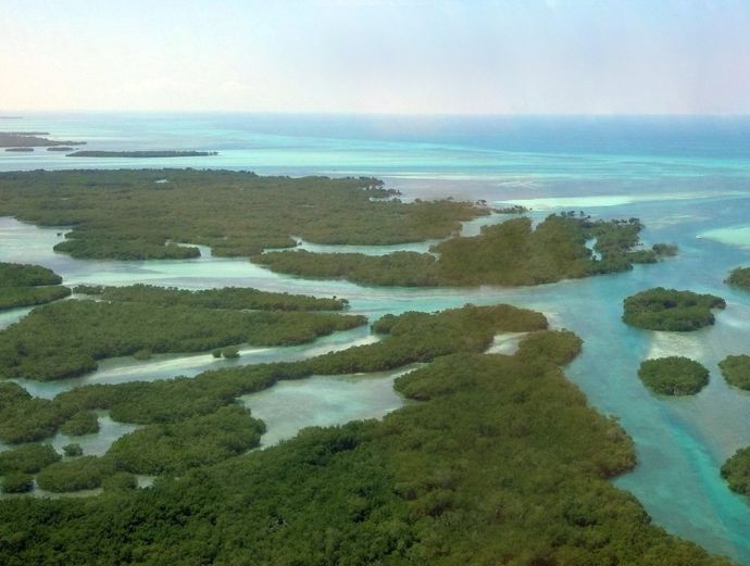 Key West Seven Mile Bridge Helicopter Tour Image 3