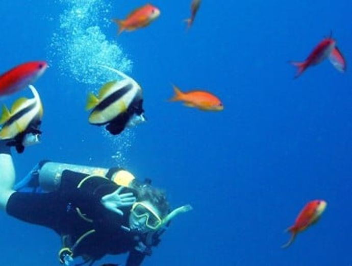 Key West PADI Advanced Open Water Diver Certification Image 5