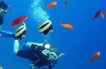 Key West PADI Advanced Open Water Diver Certification Image 5