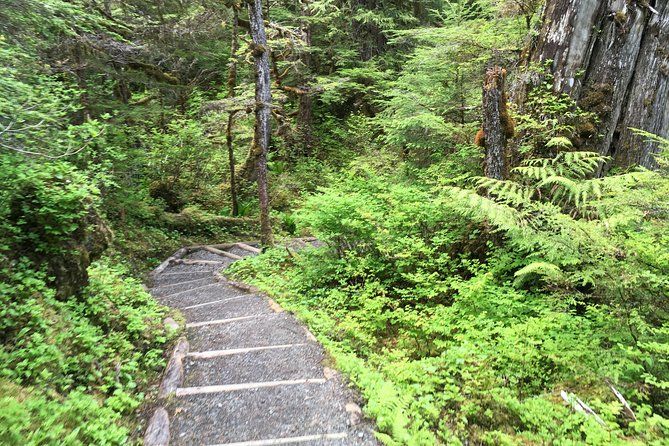 3 Hour Rainforest Walk & Totem Park Wild Wolf Tours