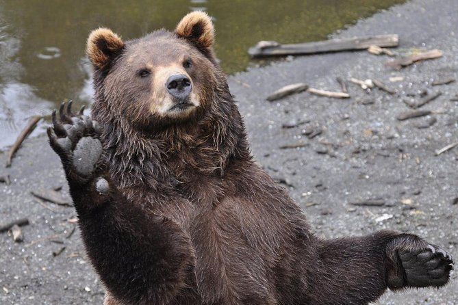 Sitka Scenic Tour
