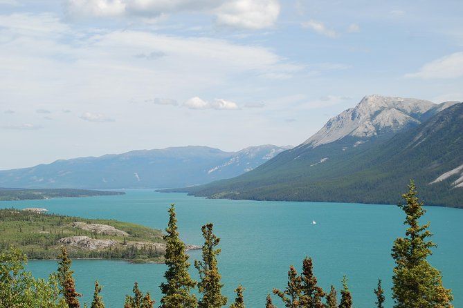 Yukon Extended Summit Drive Tour (From Skagway)