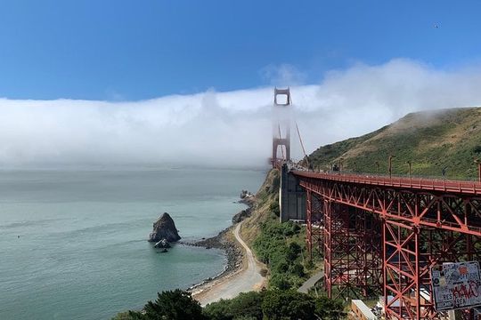 Amazing Muir Woods and Sausalito Tour