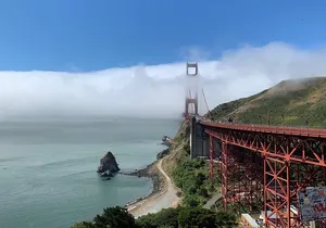 Amazing Muir Woods and Sausalito Tour