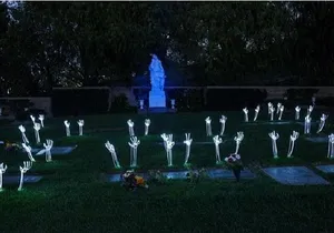 Savannah Hauntings Tour