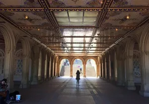 Central Park Walking Tour