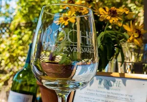 Half-Day Wine Tour Plus Hop-On Hop-Off Bus Pass