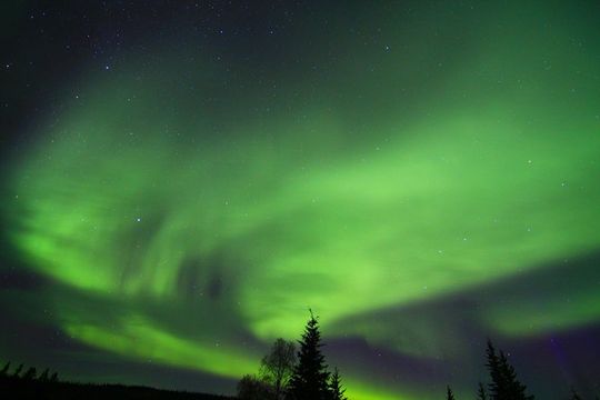 Northern Lights and Arctic Circle Trip from Fairbanks