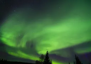 Northern Lights and Arctic Circle Trip from Fairbanks