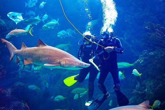 Tampa Bay CityPASS — Save 50%