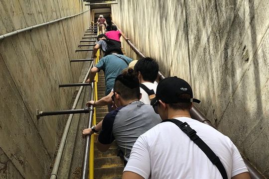 Diamond Head Bike to Hike and Local Lunch