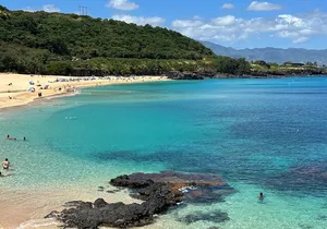 1/2 Circle Island & North Shore Activities with The Surf Bus