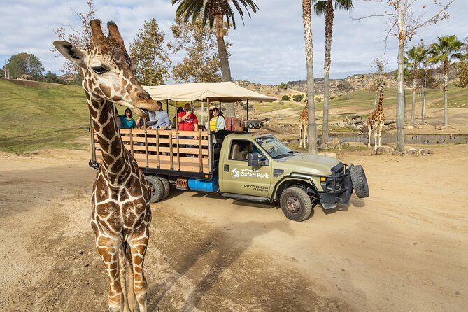 San Diego Zoo and Safari Park 2-Visit Pass Ticket