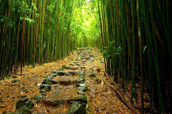 Ultimate Hana Full-Day Adventure Tour