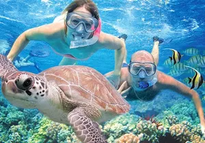 Kauai’s Ultimate Guided Shore Snorkel in South Poipu