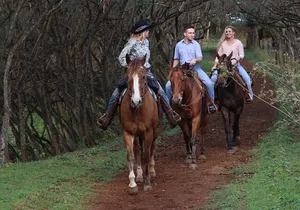 Private Sweetheart Horseback Ride