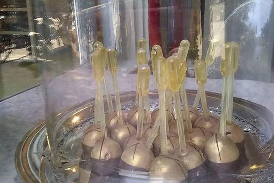 Savannah History plus Coffee and Chocolate Walking Tour