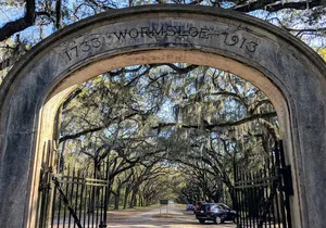 Custom Savannah Private Tour