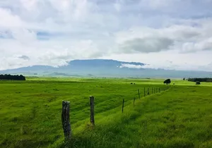 Big Island Volcano Adventure from Kona: Small Group