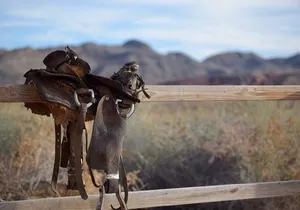 Wild West Sunset Horseback Ride with Dinner from Las Vegas