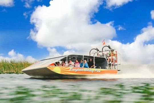 From: Miami Port or Hotel: Everglades Airboat Wildlife Experience