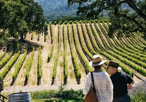 Napa and Sonoma Wine Country Full-Day Tour from San Francisco