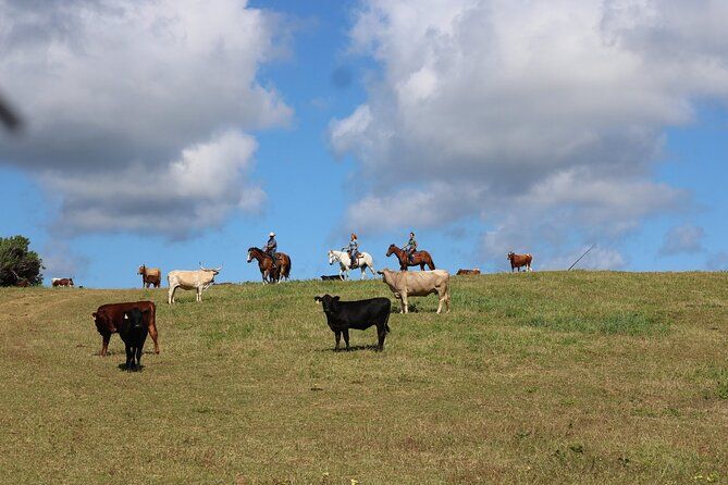 1 Hour Scenic Horseback Ride