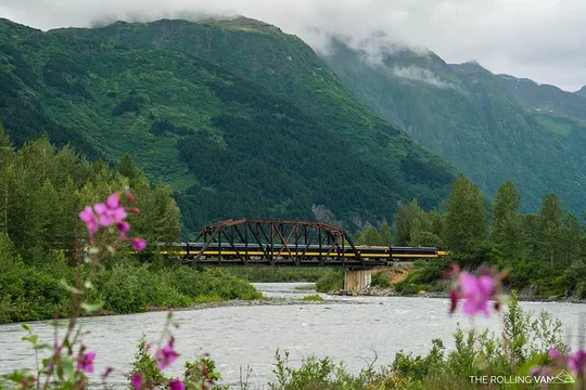 Bears, Trains & Icebergs Tour