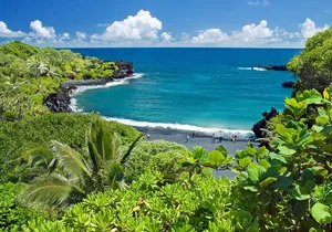 Road to Hana Luxury Limo-Van Tour with Helicopter Flight