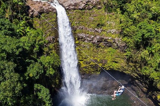 Big Island Zipline Tour Near Akaka Falls (250-ft Waterfall!)