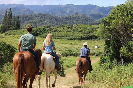 1 Hour Scenic Horseback Ride