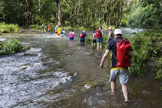 Wailua River Kayak and Sacred Falls Guided Hike with Lunch