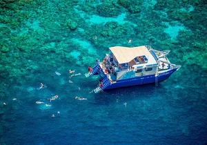Kona’s Best Morning Snorkel: Captain Cook & Kealakekua Bay
