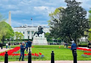 Washington, D.C. Private 4-Hour Day Tour