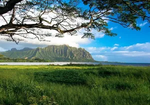 First Day Must: Oahu Sunrise & Circle Island Adventure
