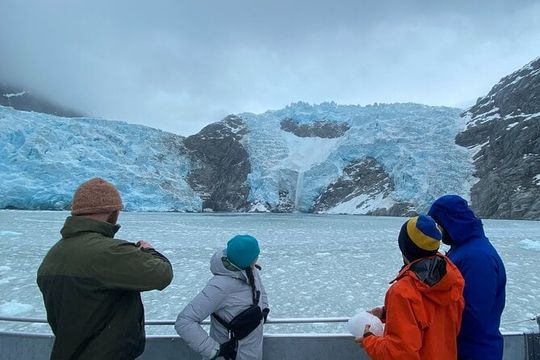 Full day Northwestern Glacier & Wildlife Tour from Seward
