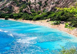 Beaches, Food & Aloha: Private Oahu Tour